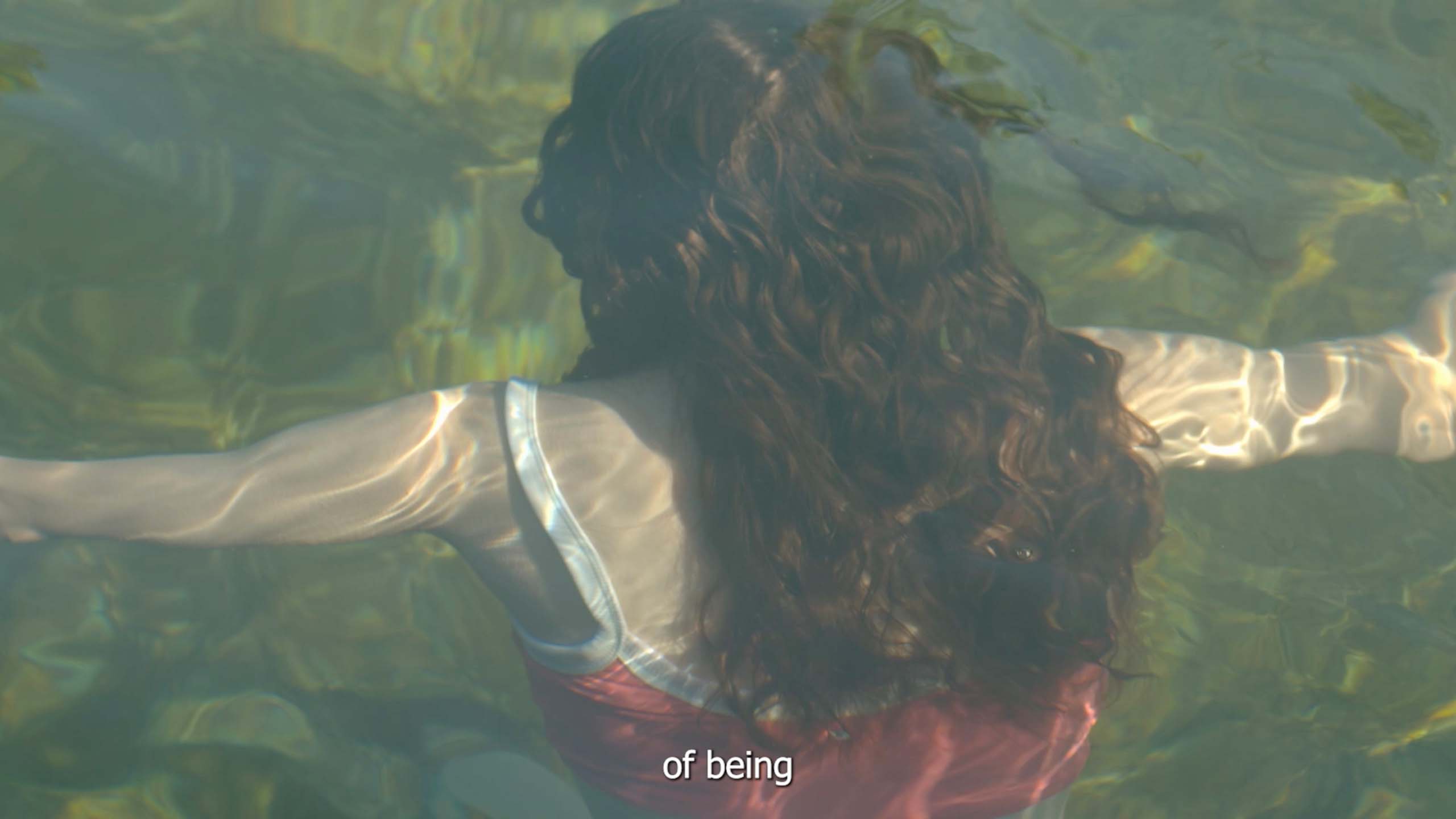 rosa floating in water with caption reading: of being
